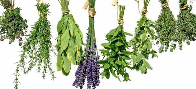 Thảo dược tăng cường sinh lực cho nam giới